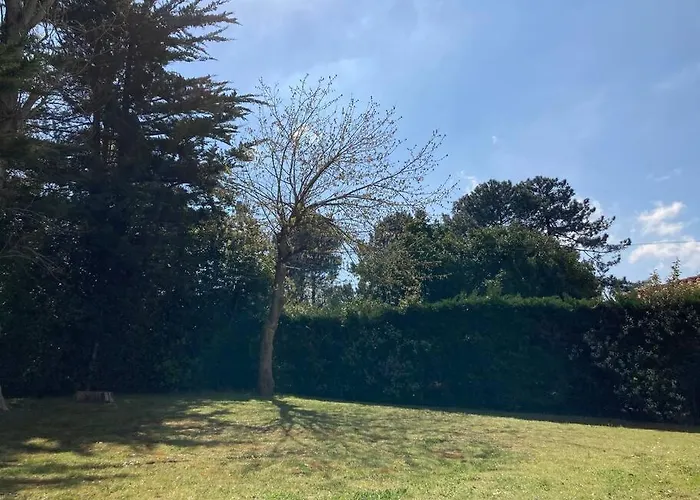 Appartement Cosy Proche Rue Pietonne Et Plages