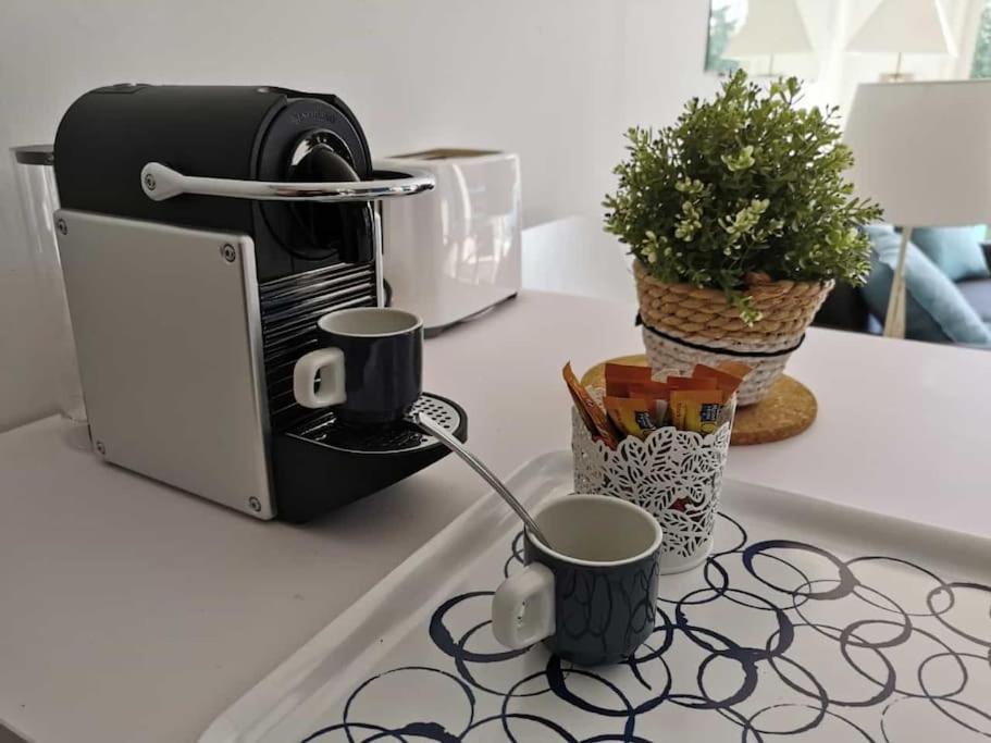 Cosy Proche Rue Pietonne Et Plages Apartment