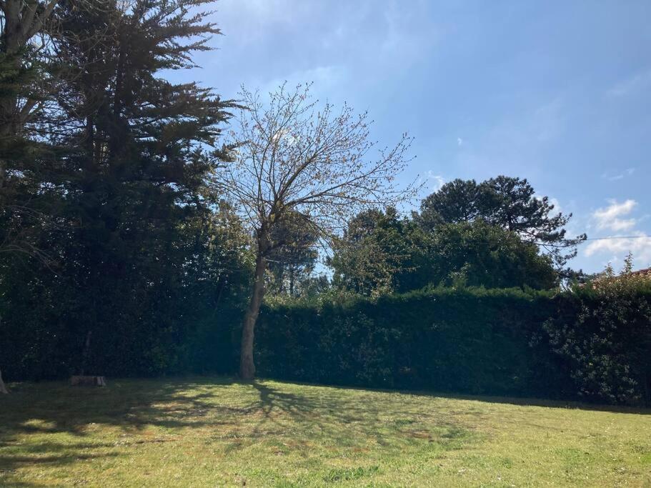 Cosy Proche Rue Pietonne Et Plages Apartment *